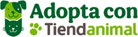 header-logo